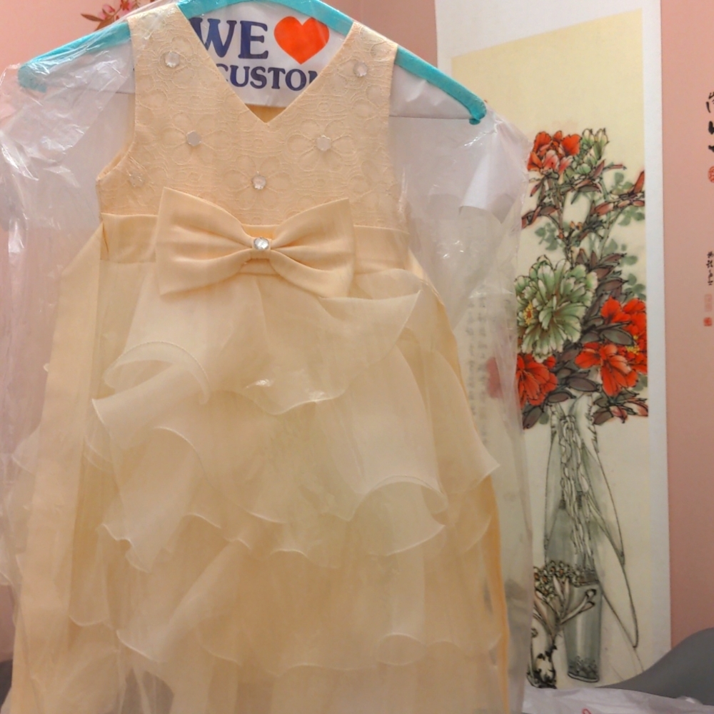 Size 2T Flower girl dress